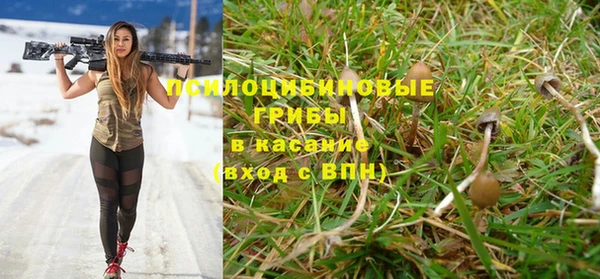 бошки Алексин