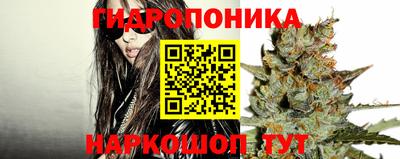 мдма Кингисепп