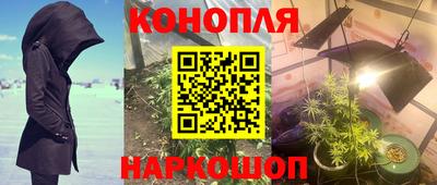 jwh Кимры