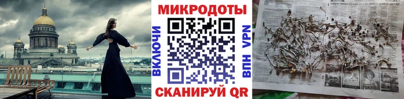 Псилоцибиновые грибы прущие грибы  Магадан 