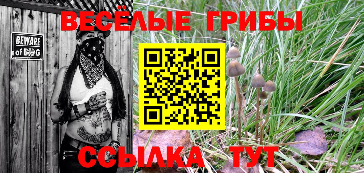 Псилоцибиновые грибы GOLDEN TEACHER Магадан